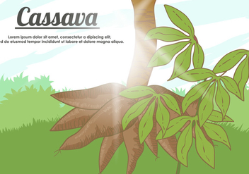 Vector Cassava Root - Kostenloses vector #427335