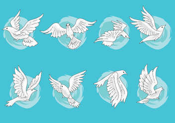 Set of Paloma or Dove Vectors with Hand Drawn Style - vector #428425 gratis