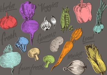 Color Vegetables Doodles - vector gratuit #429095 