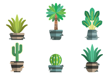 Yucca Vector Item Pack - Free vector #429235