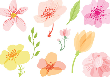 Free Spring Flowers Vectors - vector gratuit #429255 