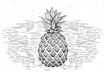 Free Hand Drawn Vector Pineapple Illustration - vector #430525 gratis