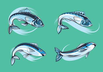 Set Fresh Sardines - vector gratuit #430535 