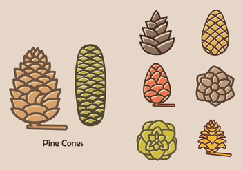 Colorful Pine Cones Vector Icon - Kostenloses vector #432485