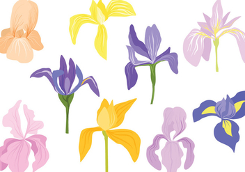Free Pastel Irises Vectors - vector gratuit #432505 