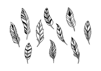 Free Feathers Vector - Kostenloses vector #433055