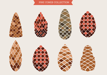 Pine Cones of Cedar Spruce Fir Christmas Tree Pine Set - vector gratuit #434105 