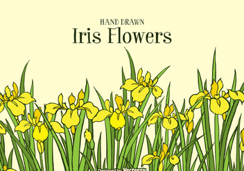 Hand Drawn Yellow Iris Flowers Background - vector gratuit #434135 