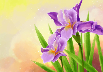 Hand Draw Iris Flower Illustration - vector gratuit #434925 