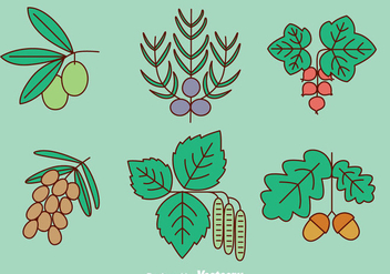 Herb And Spice Plant Vector - vector gratuit #435905 