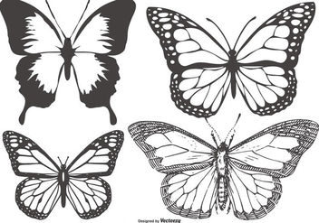Vintage Butterfly/Mariposa Collection - vector #436305 gratis