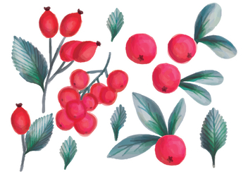 Vector Hand Drawn Forrest Fruits - Free vector #436605