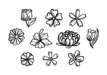 Free Flowers Hand Drawn Vector - vector gratuit #436615 