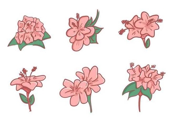Free Beautiful Rhododendron Flower Vectors - бесплатный vector #437305