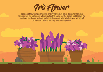 Iris Flower On Pot Illustartion - vector gratuit #437455 