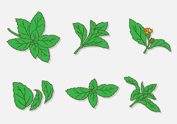 Cartoon Green Stevia Leaf - vector gratuit #437905 