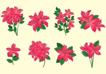 Rhododendron Vector - Kostenloses vector #438005