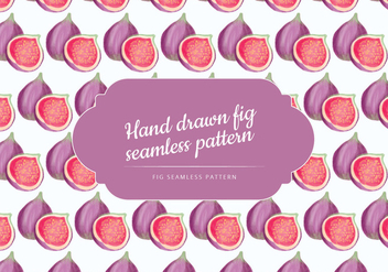 Vector Hand Drawn Figs Seamless Pattern - vector gratuit #438545 