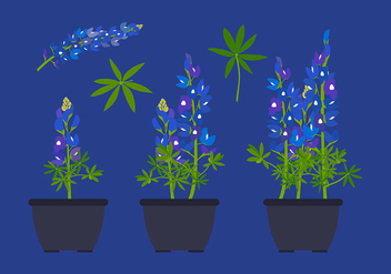 Bluebonnet Flower Plant Free Vector - бесплатный vector #444335