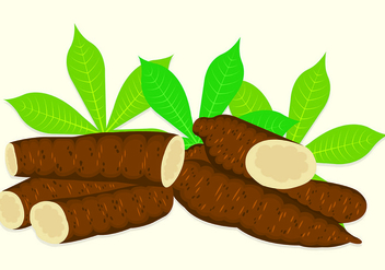 Vector Illustration Of Cassava - бесплатный vector #444685