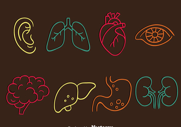 Human Organ Line Icons Vector - vector gratuit #444775 