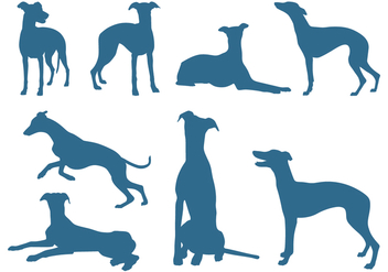 Silhouettes of Greyhound Dogs - Free vector #445695