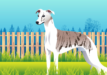 Cute Whippet Dog Breed Vector - бесплатный vector #445925