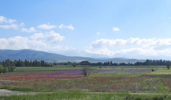 Turkey (Isparta) Panaromic view of Isparta Plain at spring - бесплатный image #446545