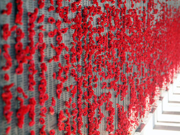 Poppies Left by Visitors to The Australian War Memorial - бесплатный image #446825