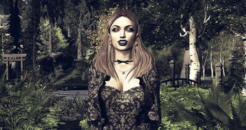 LOTD 66: Autumn Forest (free gifts) - Kostenloses image #449745