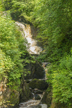 Trees2-Ingleton Waterfalls - Free image #450235
