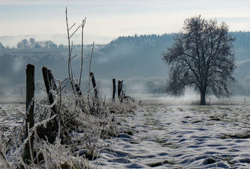 Winterlandschaft - Free image #450635