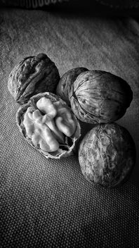 Cracker walnut - image gratuit #451165 