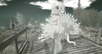 LOTD 85: Feathers (new releases & gifts) - image #452145 gratis