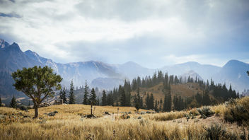 Far Cry 5 / A Far View - image gratuit #456195 