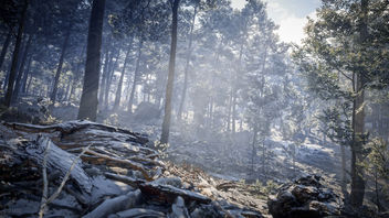 TheHunter: Call of the Wild / Winter Woods - Kostenloses image #456625