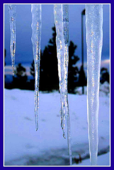 Ice music, a winter xylophone - image gratuit #458415 
