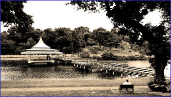 MacRitchie reservoir - the oldest reservoir in Singapore - Free image #459505