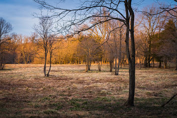 Fox Meadow Illuminated by the Setting Sun - image #459915 gratis