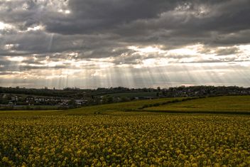 Rapeseeds farms, Burntwood, England - Free image #460885