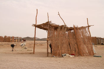 Nomads-oasis desert, Hurghada, Egypt - Free image #463835