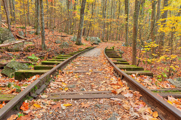 Autumn Logging Railroad - бесплатный image #468225
