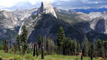 Yosemite National Park - image gratuit #468335 
