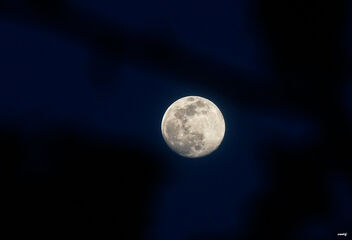 observando la luna - image gratuit #469525 
