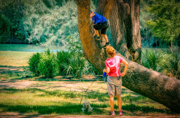 Little Tree Climber - бесплатный image #470375