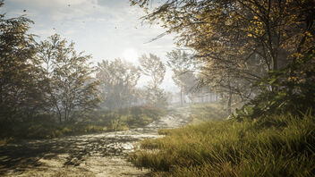 TheHunter: Call of the Wild / Nice Day For A Walk (Alt) - Kostenloses image #470845
