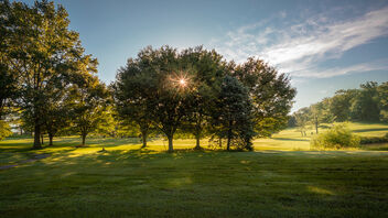 Sunrise Through Trees - image #474095 gratis