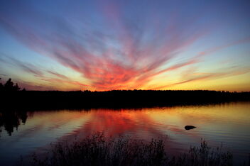Colorful Sunset - Kostenloses image #475075