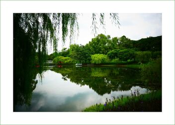 Bishan-AMK garden - image gratuit #476585 