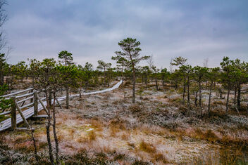 Swamp Scenery With Frozen Ground National Park - бесплатный image #476925